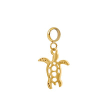 Afbeelding in Gallery-weergave laden, Bedel turtle